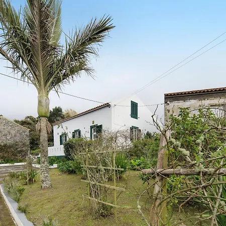 A Casa D'amália *